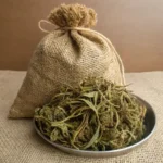 CBD puissant sol vivant.