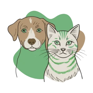 cbd chat chien animaux 3