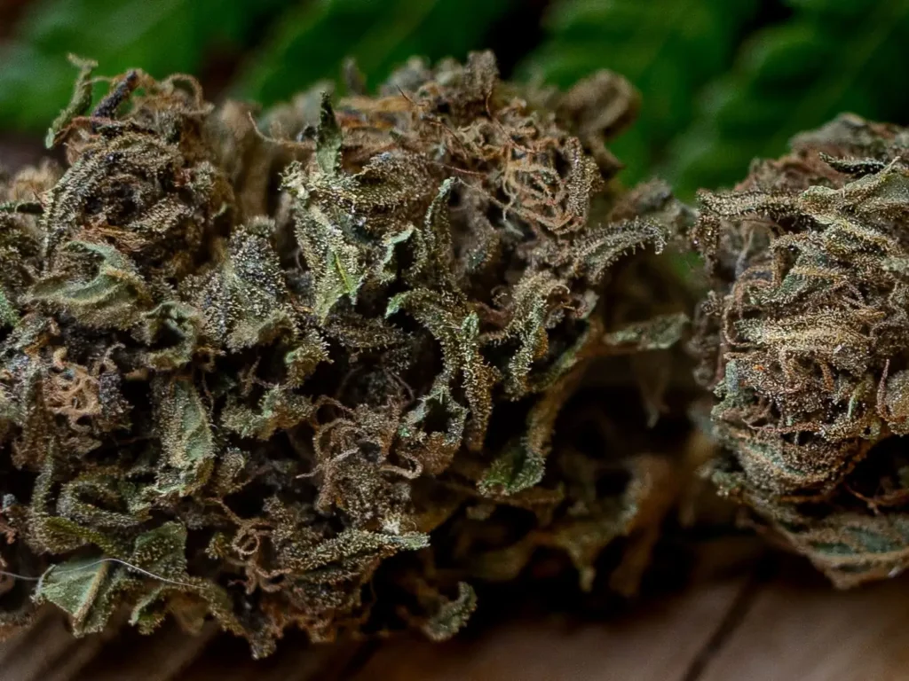 super skunk qui défonce pas.