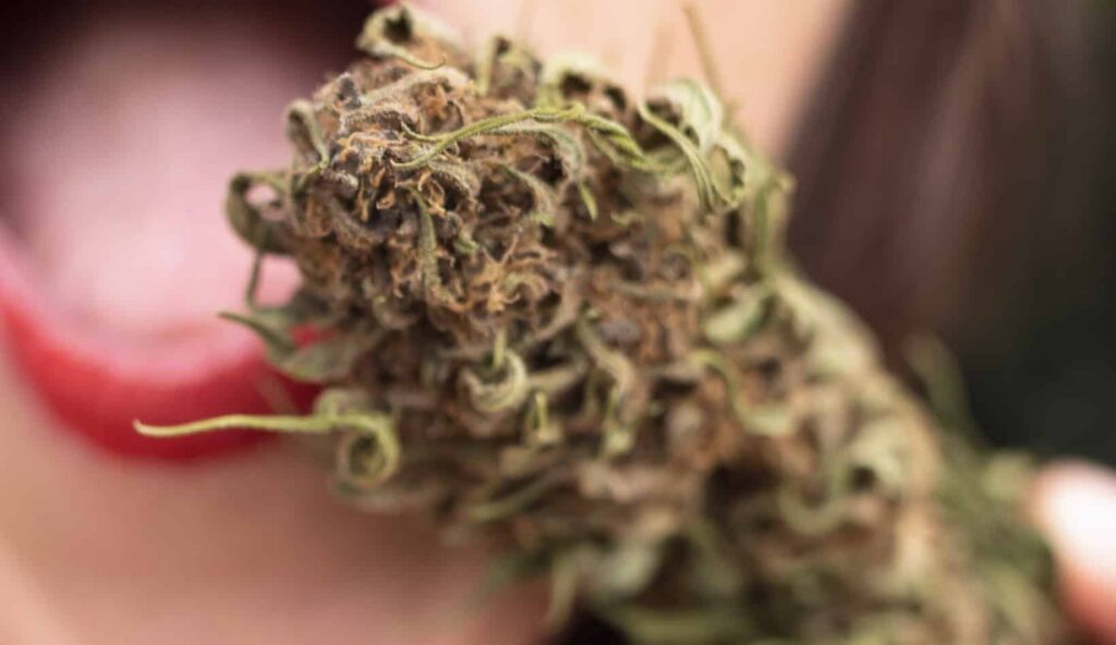 cbd on en mangerais