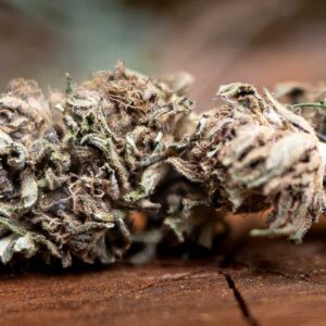 fleur avec du cbd variété: amnesia