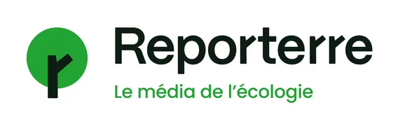 CBD bio direct producteur