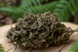 une fleur aux super pourvoir: la vanilla kush.